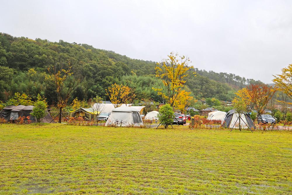 함안군 온새미로 오토캠핑장