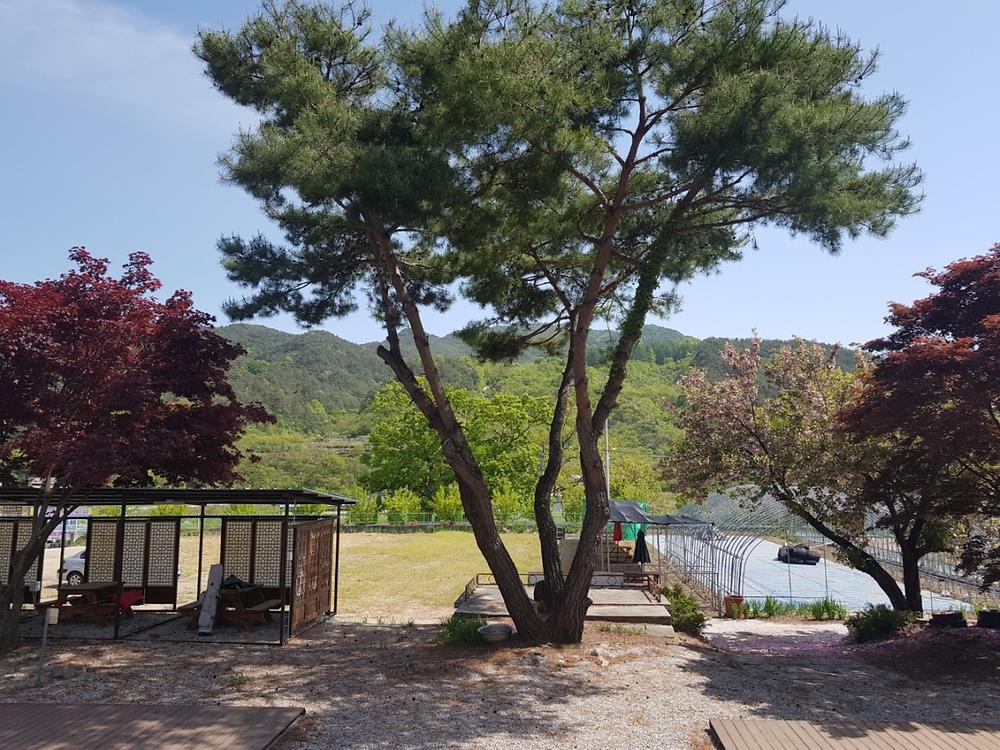 거창 신원 양지마을 야영장
