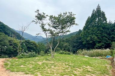 캠핑장소개 이미지