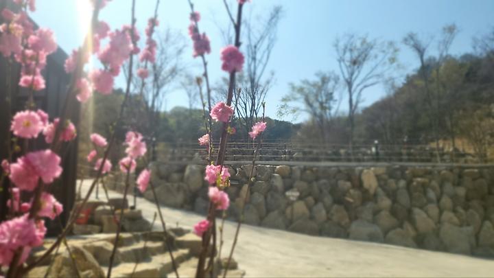다문188캠핑장
