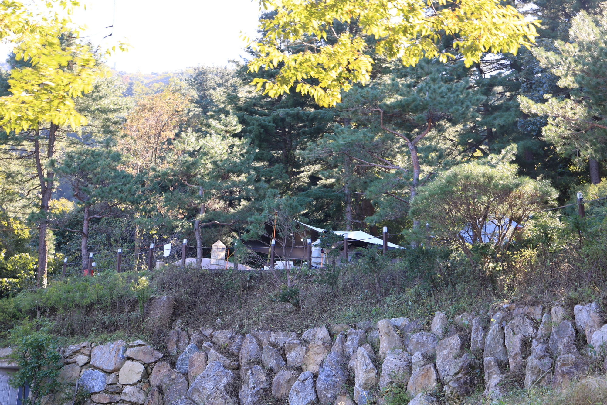 포레스트벨리캠프