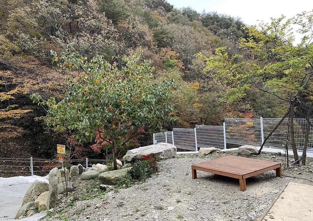 청학동별빛캠핑장