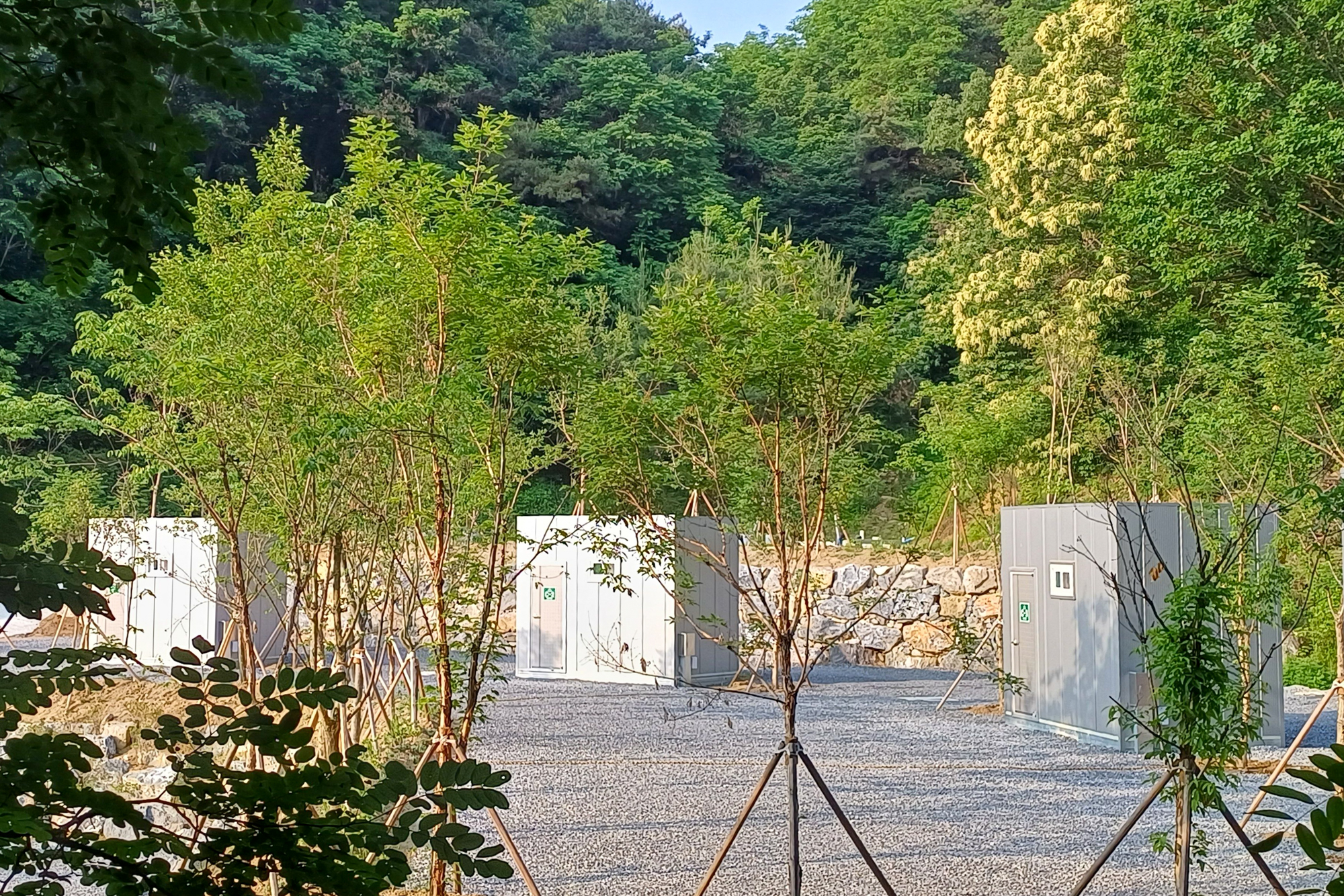 몽상핀