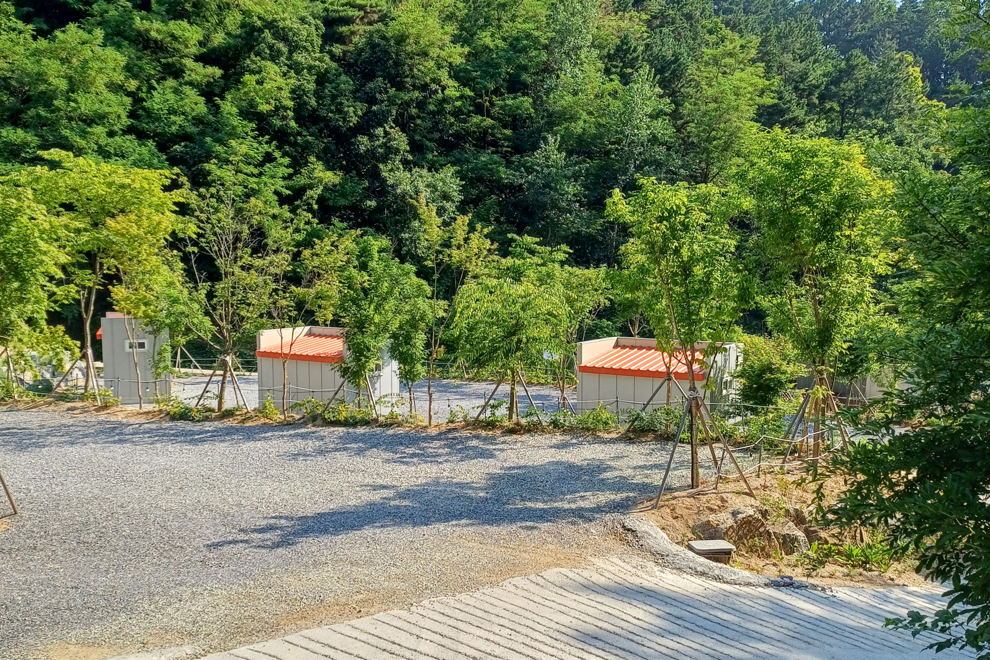 몽상핀
