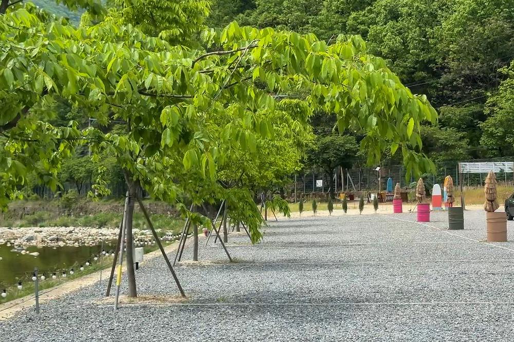 잇츠 캠핑
