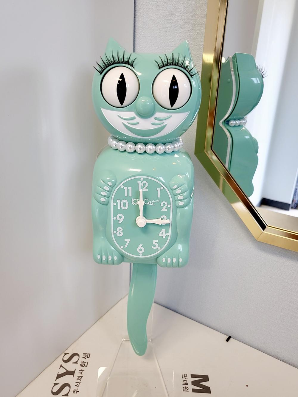 별밤캠프