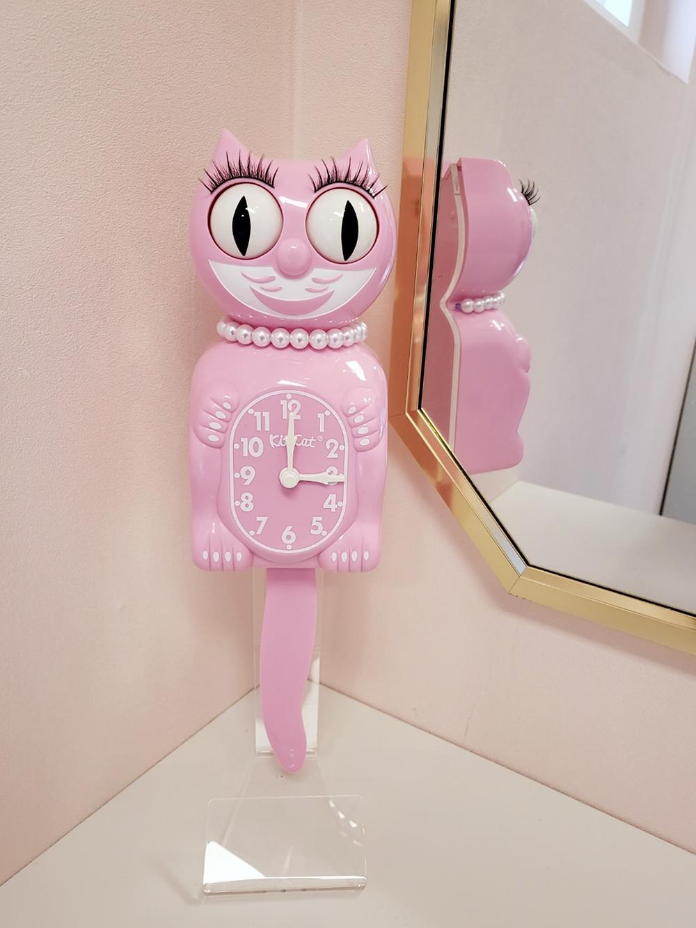 별밤캠프