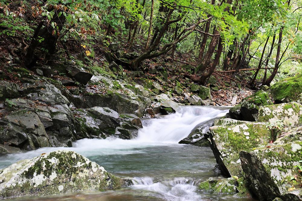 산마을 풍경