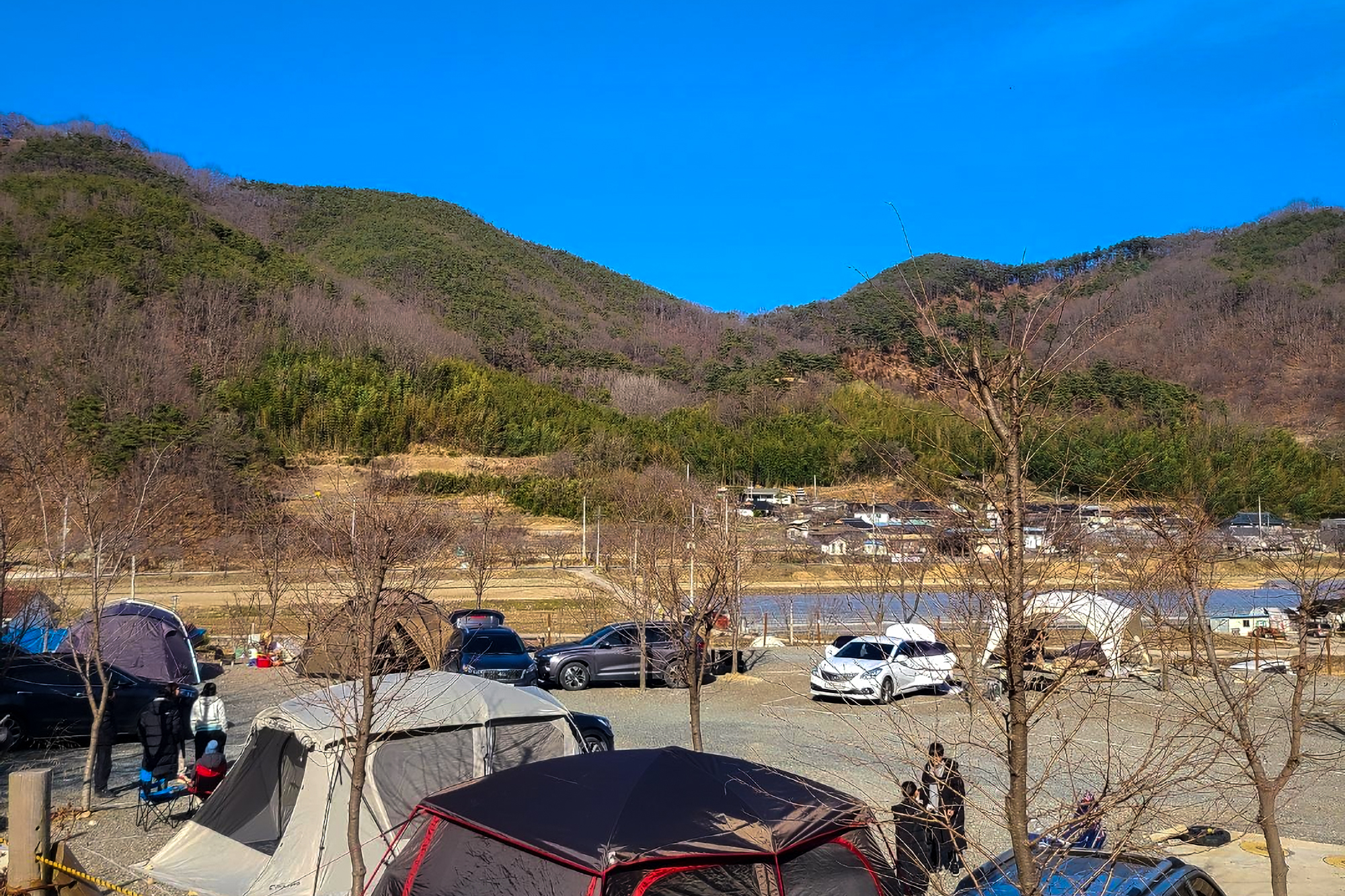 다시캠핑장위드펫
