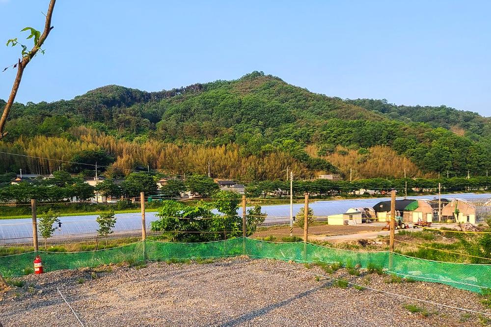다시캠핑장위드펫