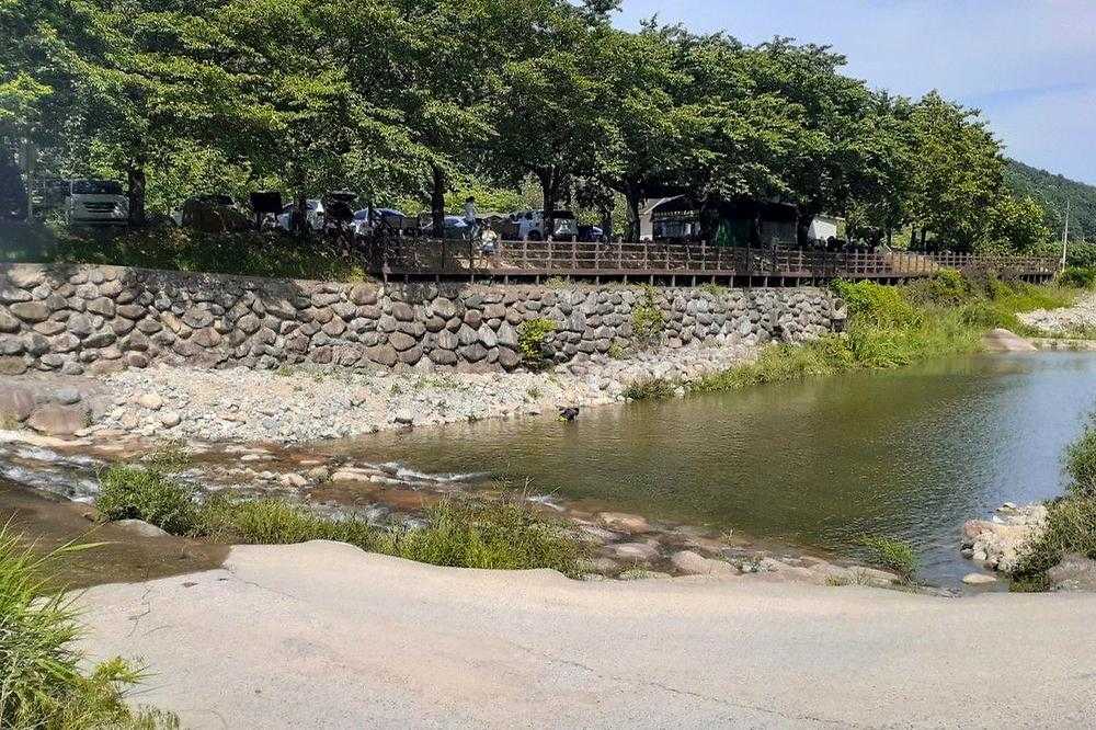 다시캠핑장위드펫