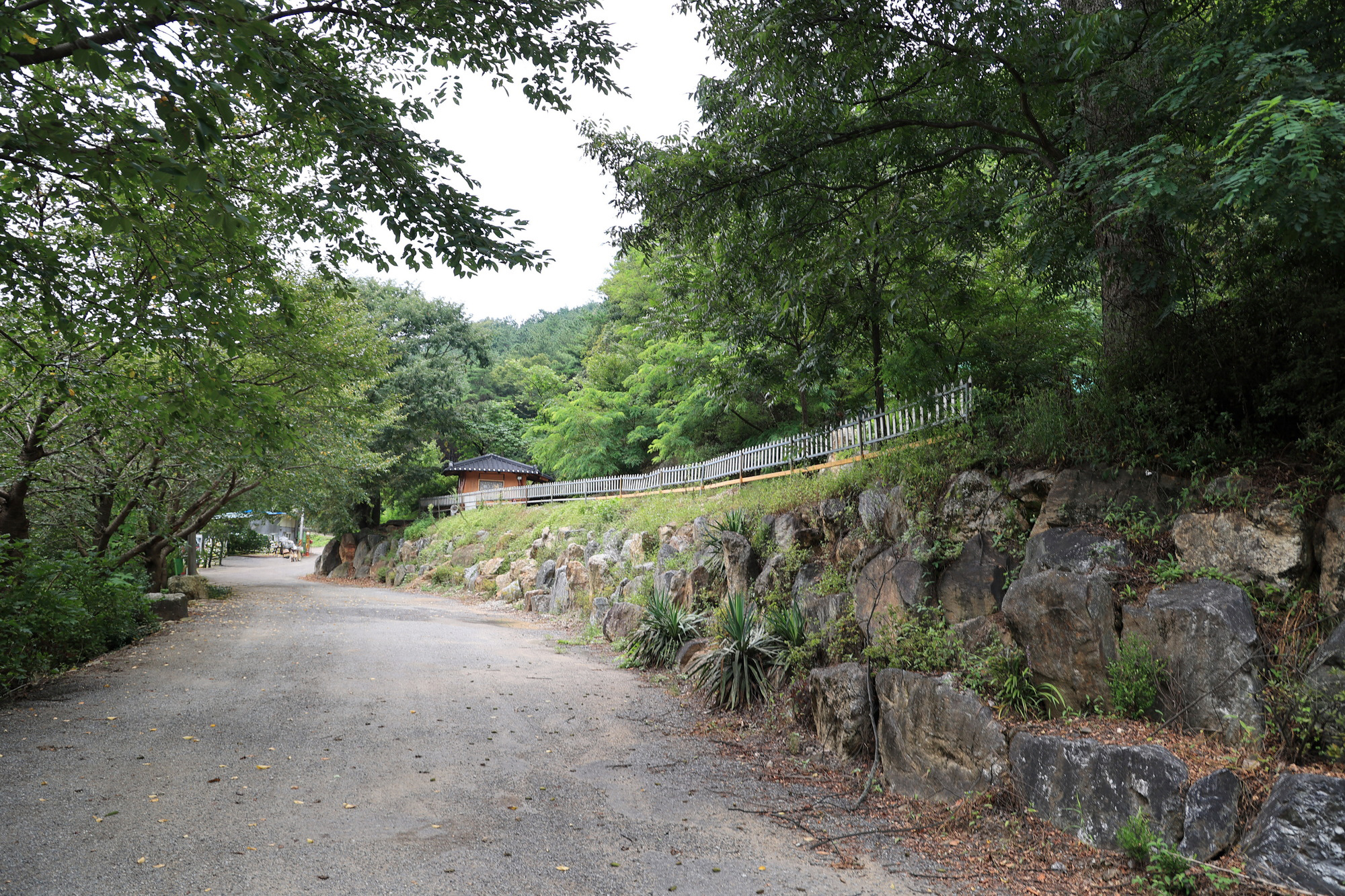 서운산캠핑장
