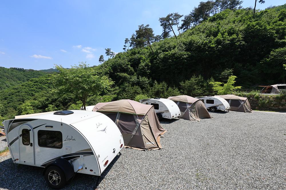 비발디캠핑파크 미루나무점