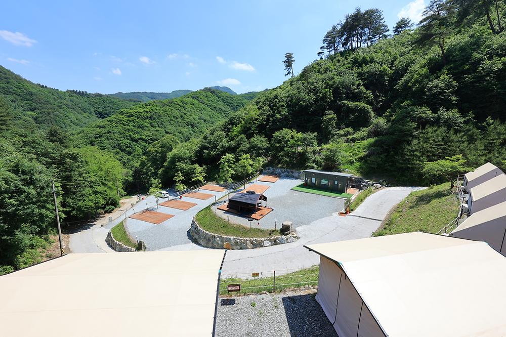 비발디캠핑파크 미루나무점