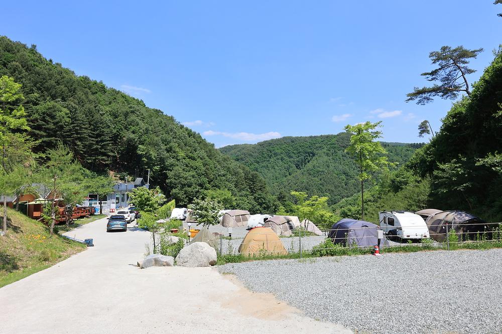 비발디캠핑파크 미루나무점
