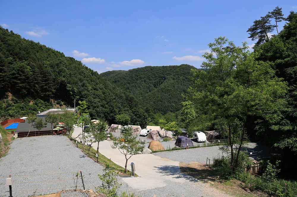 비발디캠핑파크 미루나무점