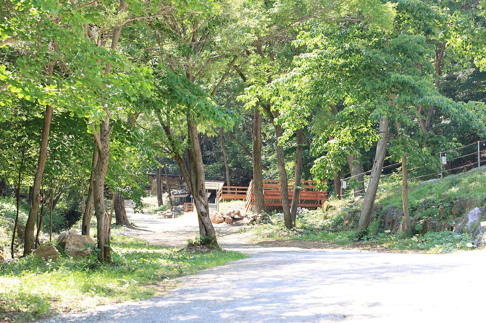 비발디캠핑파크 미루나무점