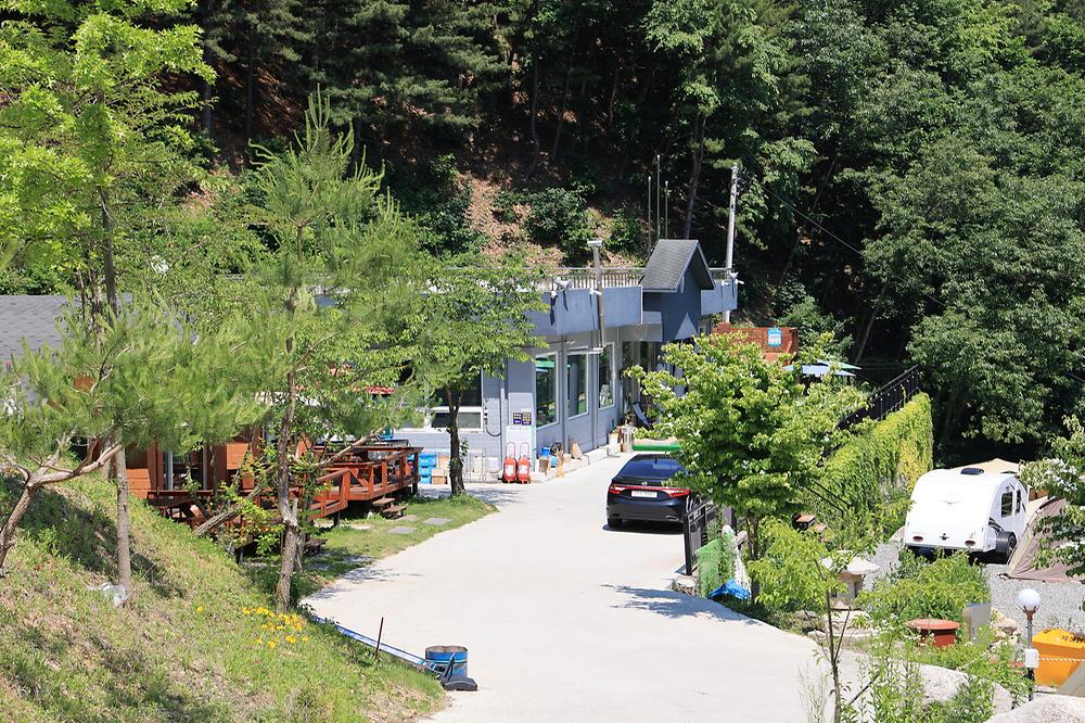 비발디캠핑파크 미루나무점