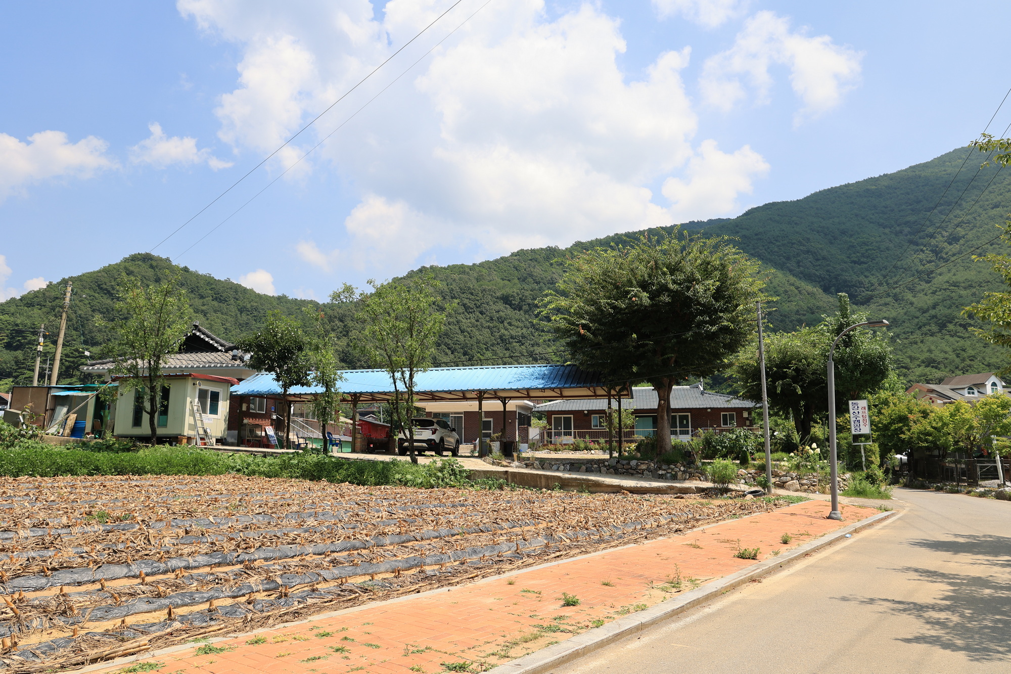 동강 산수 캠핑장