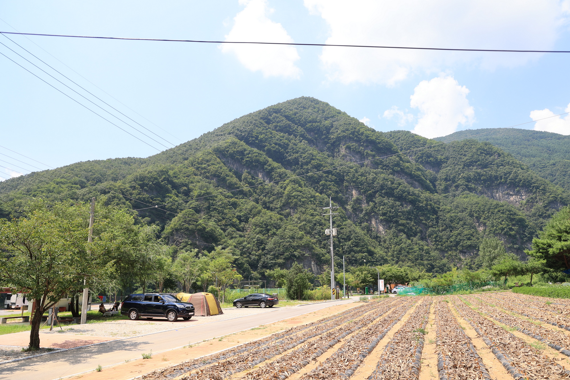 동강 산수 캠핑장