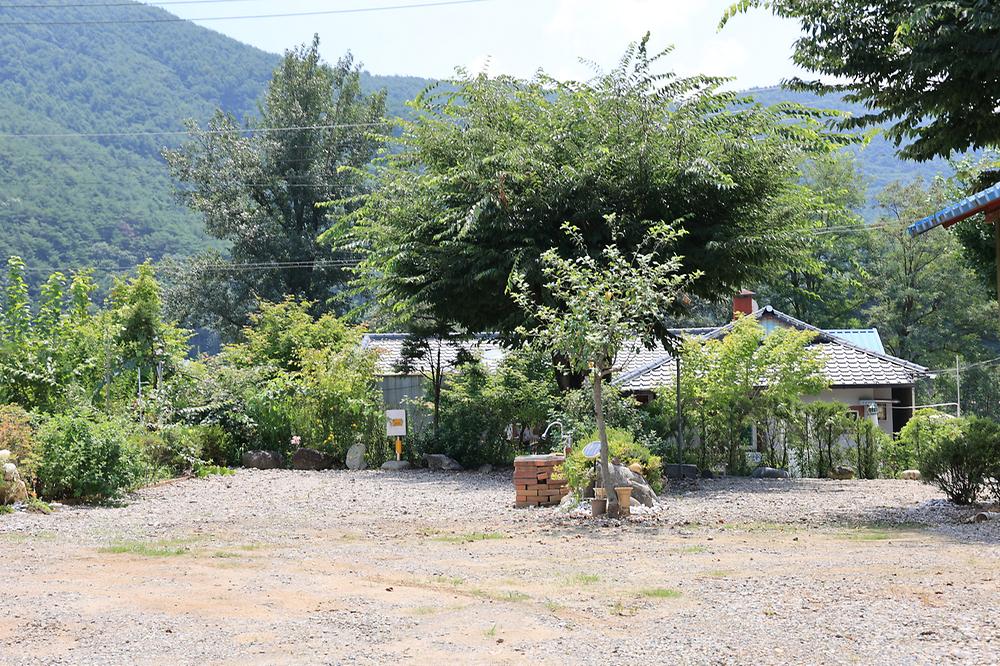동강 산수 캠핑장