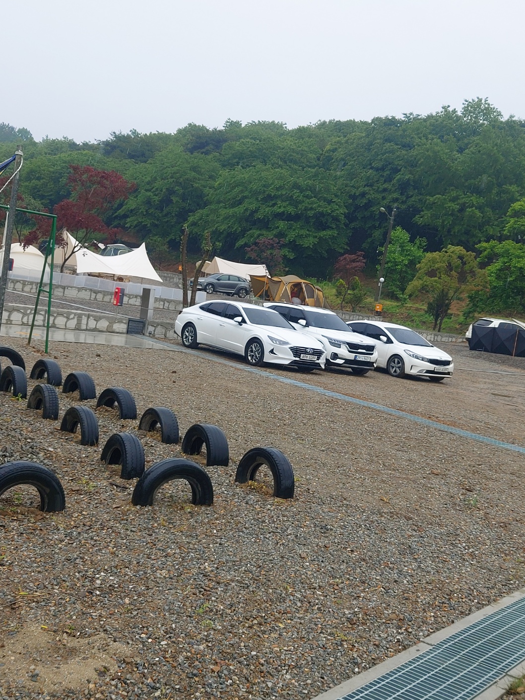푸르미르 관광농원