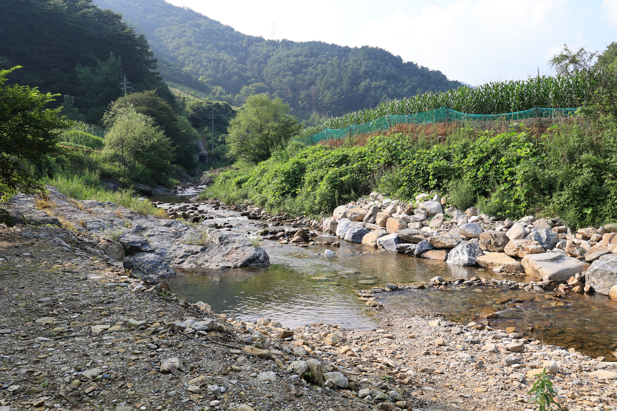 백덕산 캠핑장