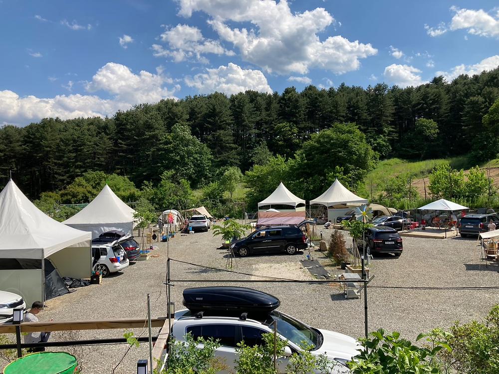 레인보우