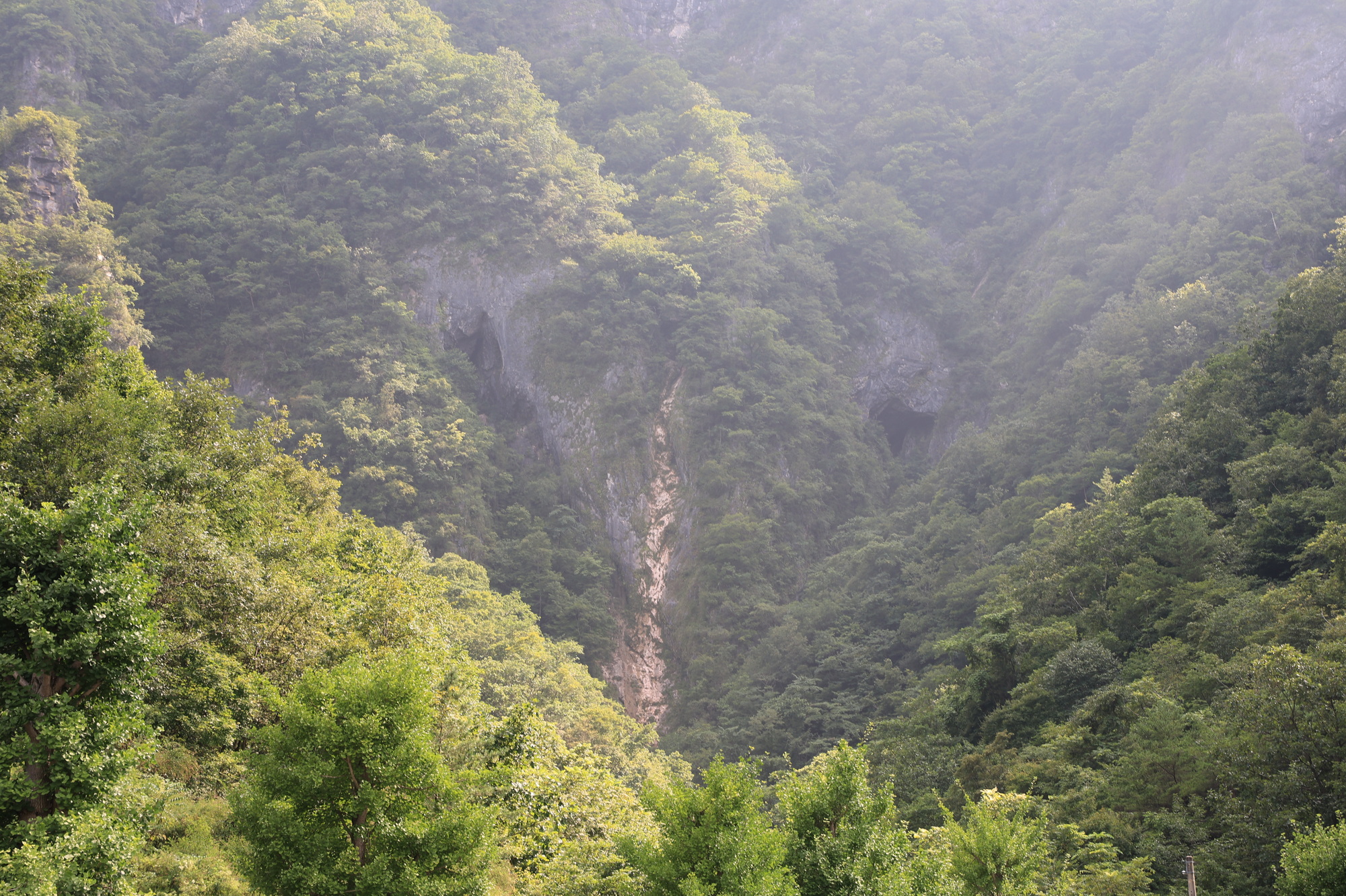 꽃바람