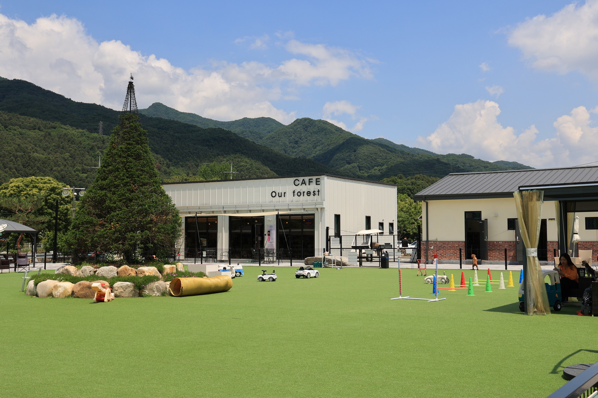 포레스트