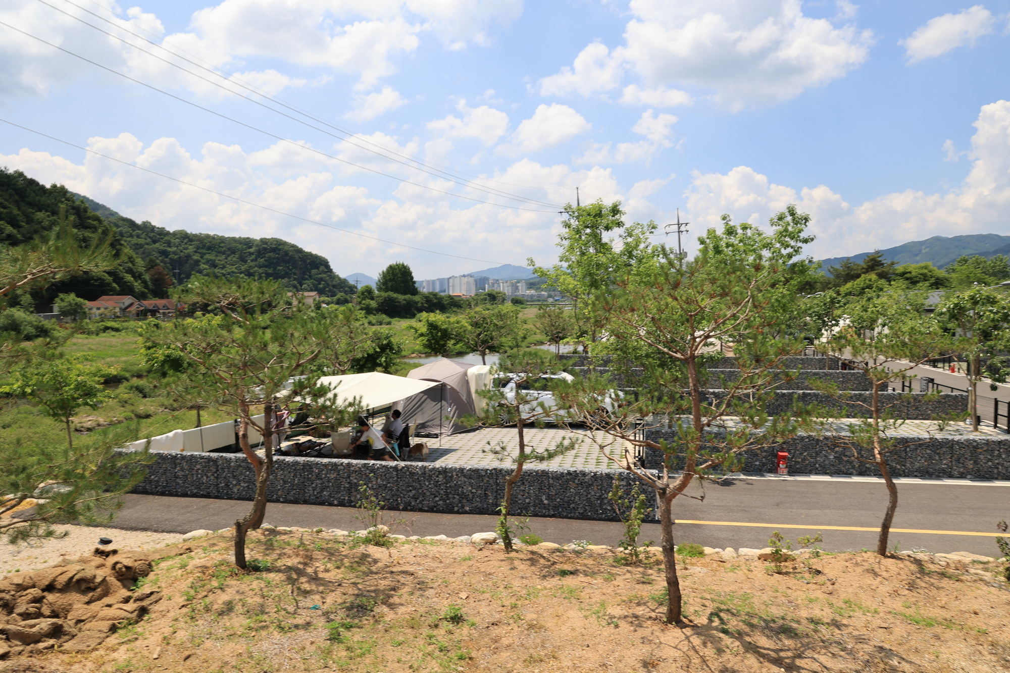 포레스트