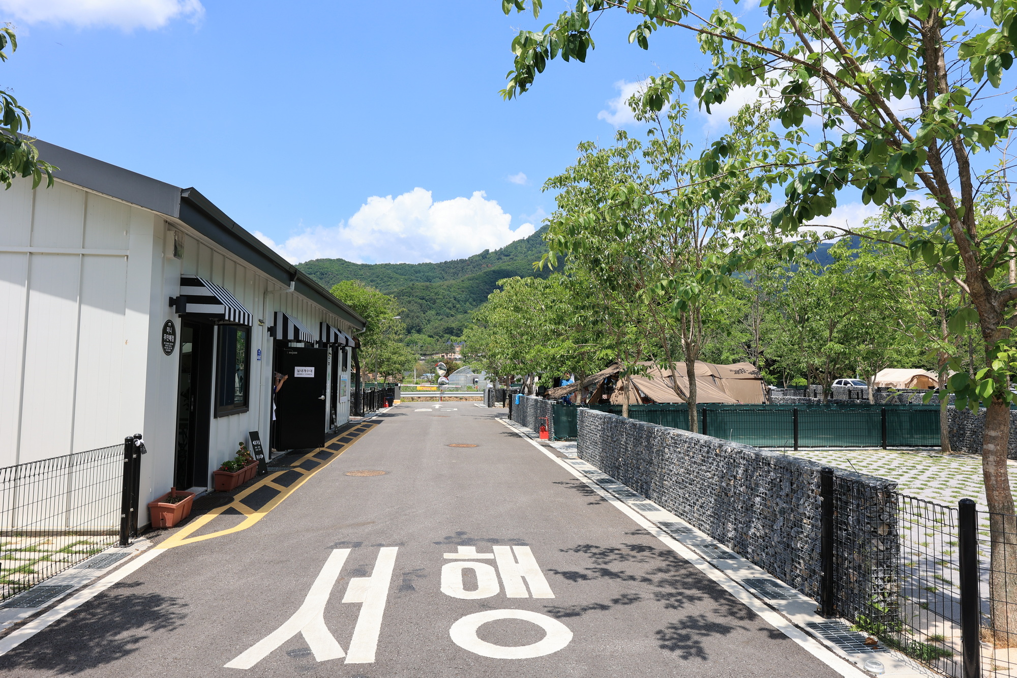 포레스트