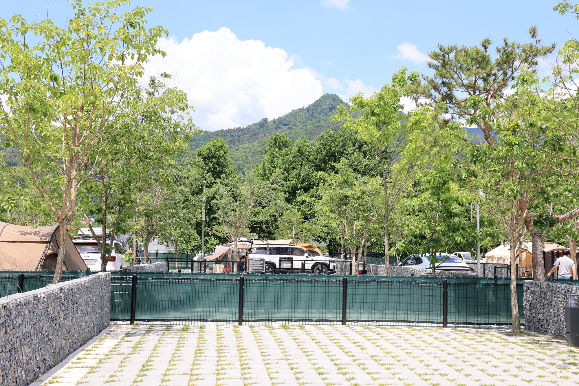 포레스트