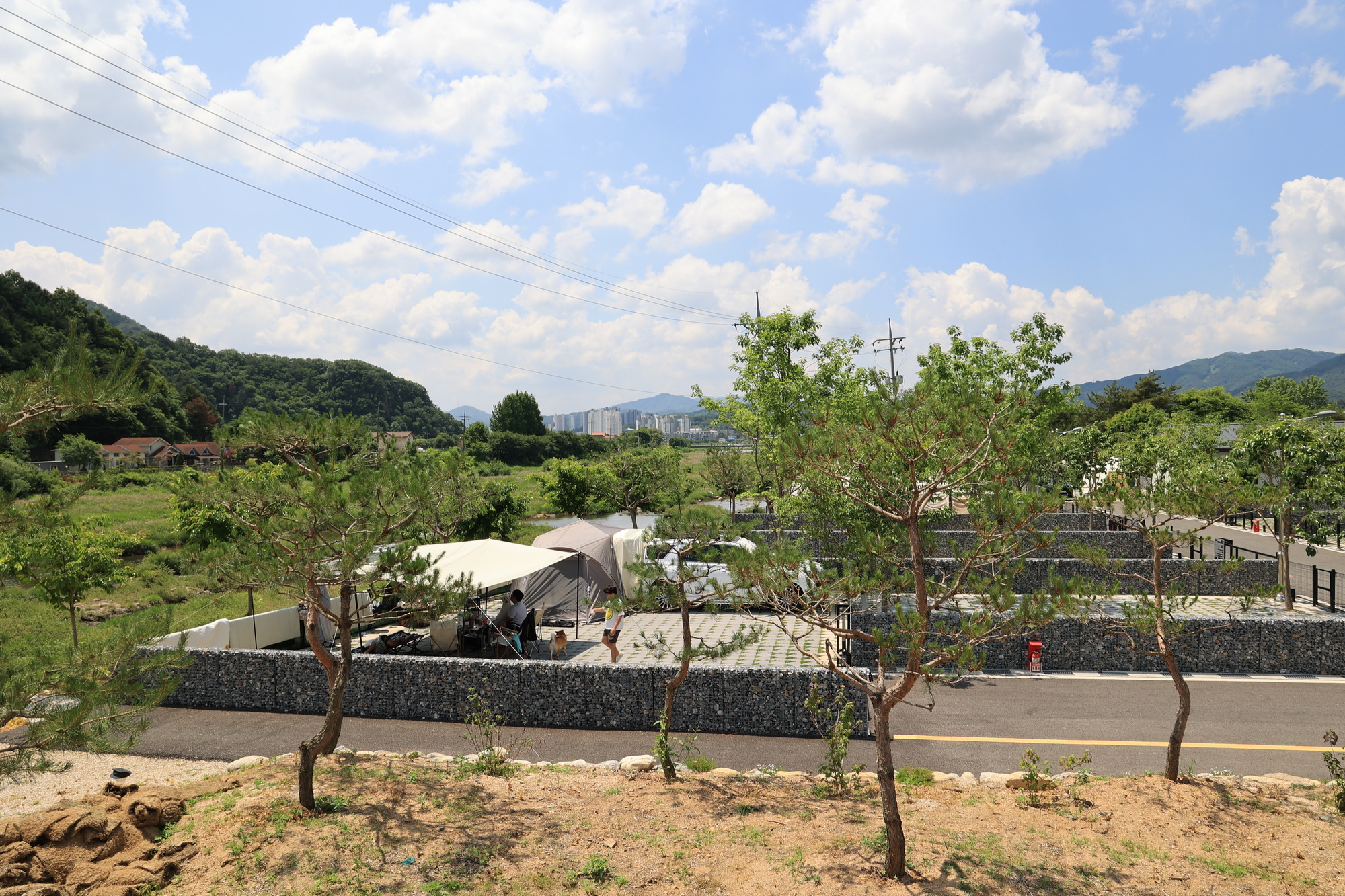 포레스트