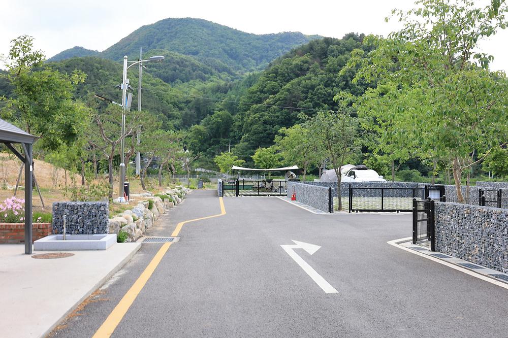 포레스트