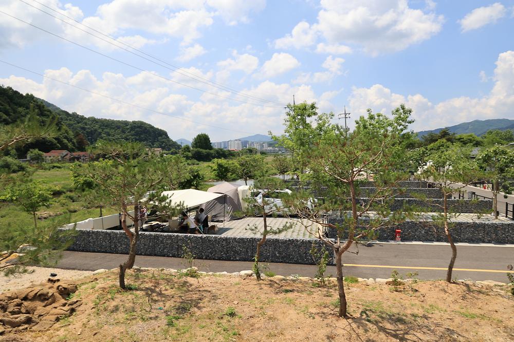 포레스트