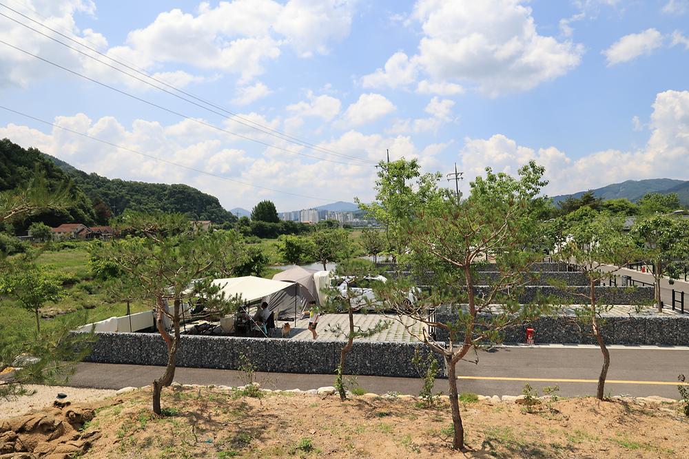 포레스트