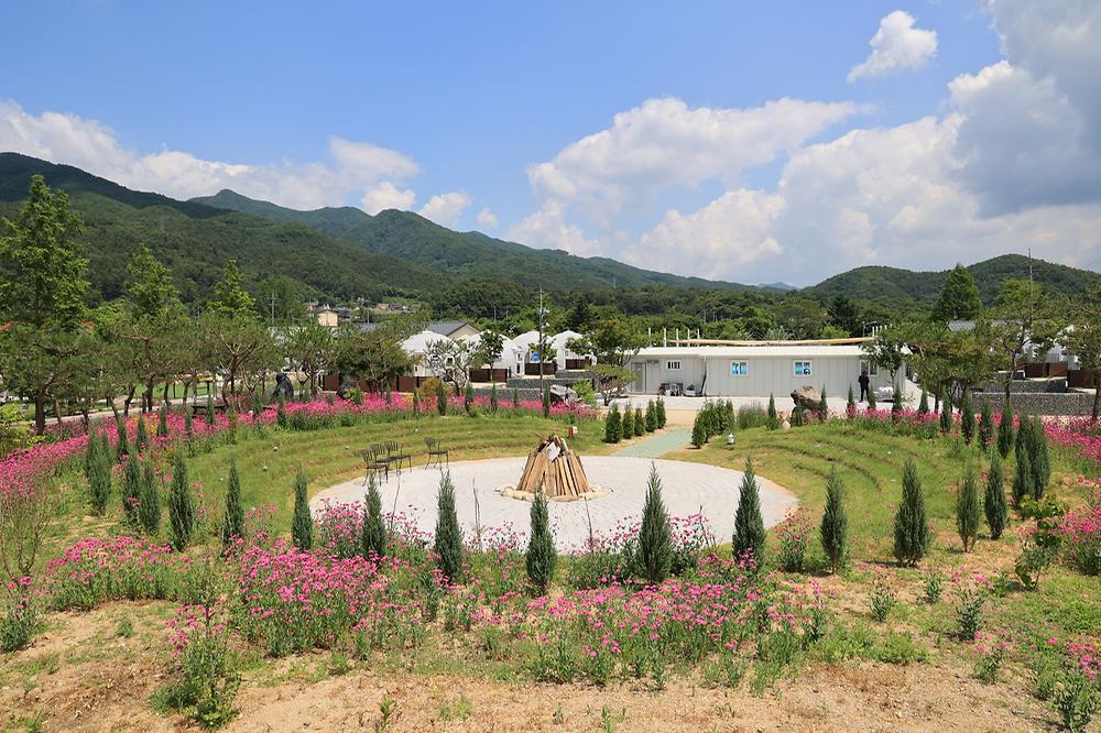 포레스트