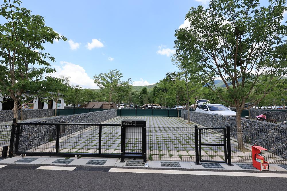 포레스트