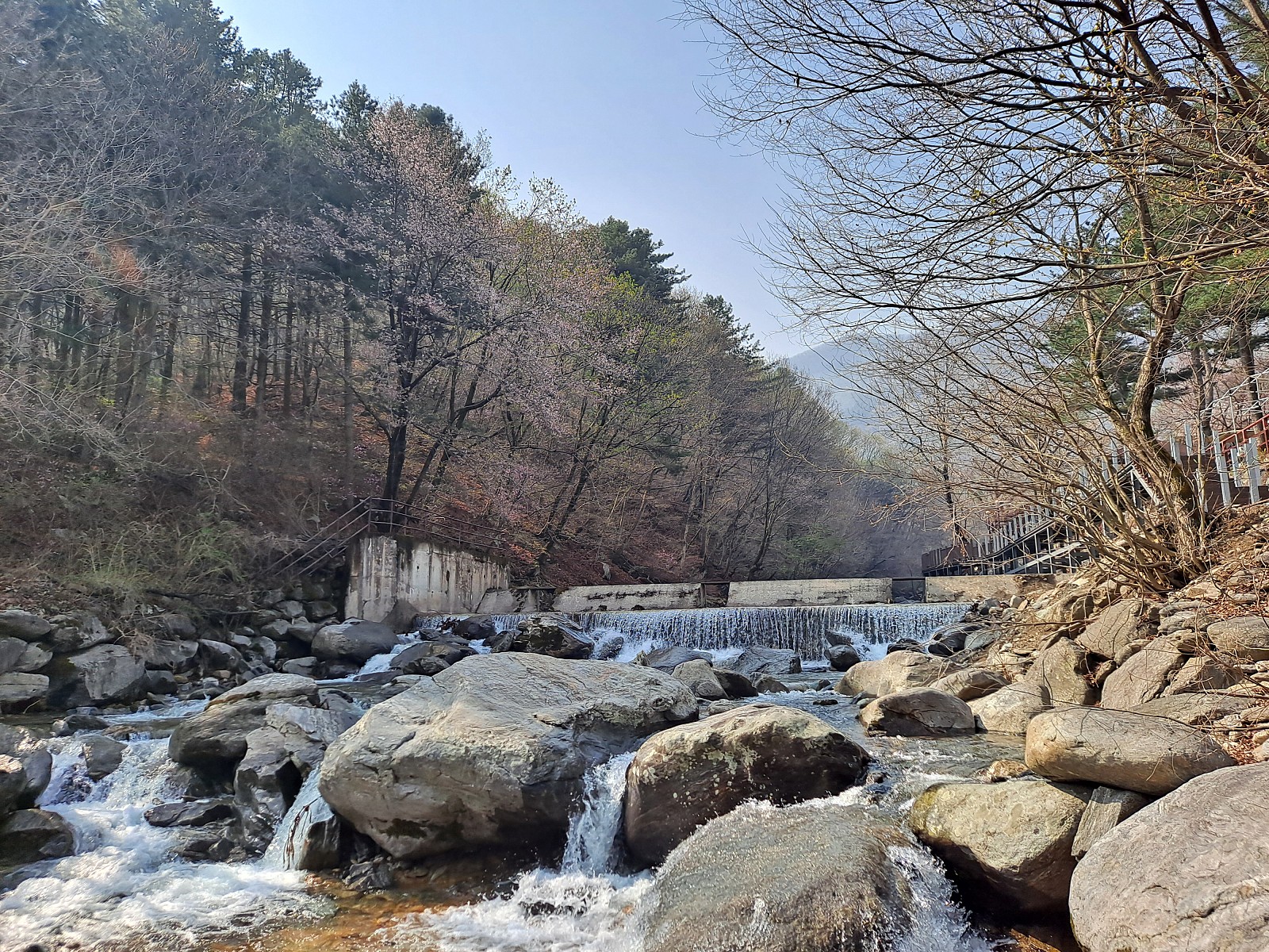 한알캠핑장