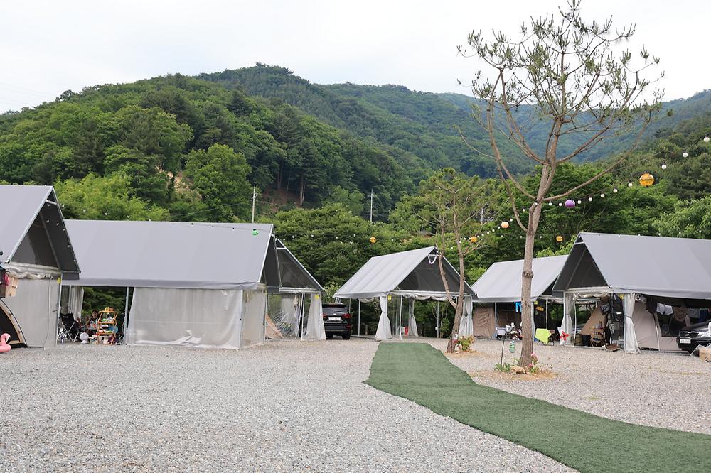 한알캠핑장