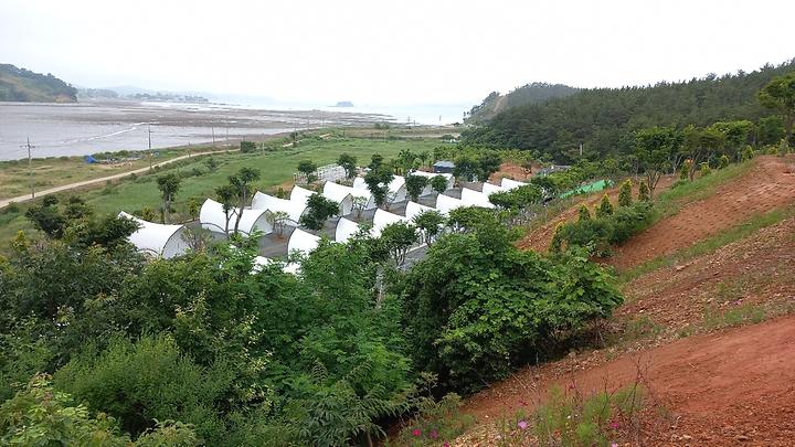 오즈캠핑