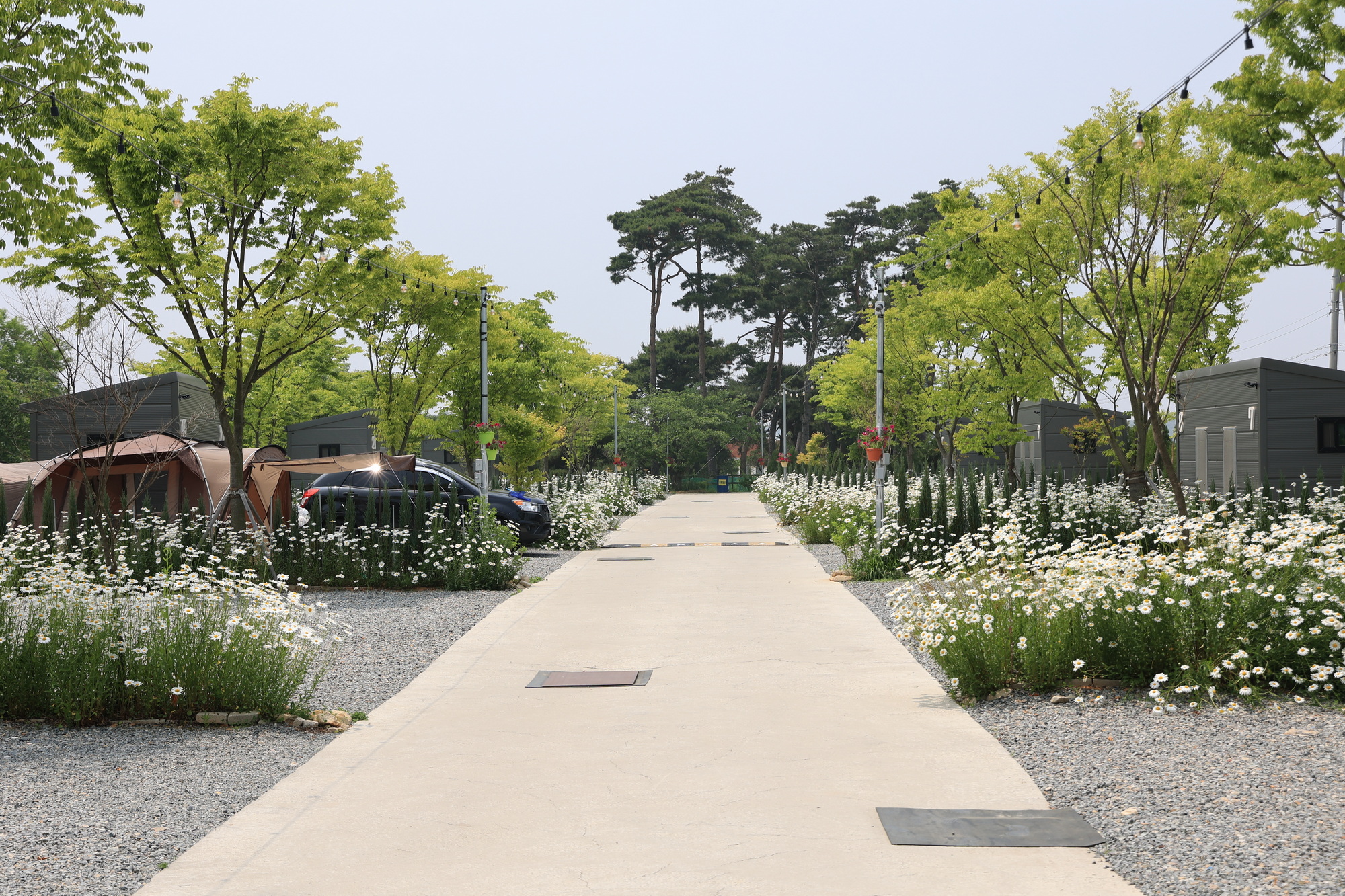 해미 모꼬지 캠핑장