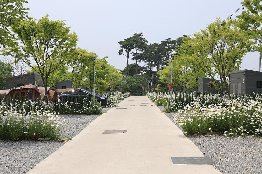 해미 모꼬지 캠핑장