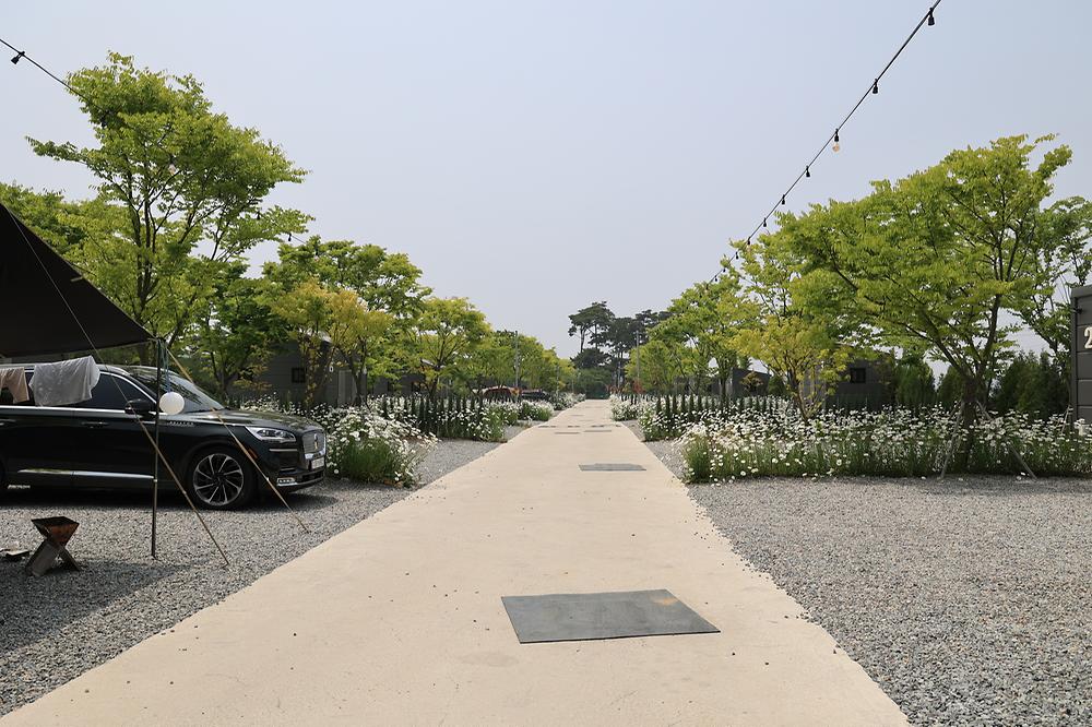 해미 모꼬지 캠핑장
