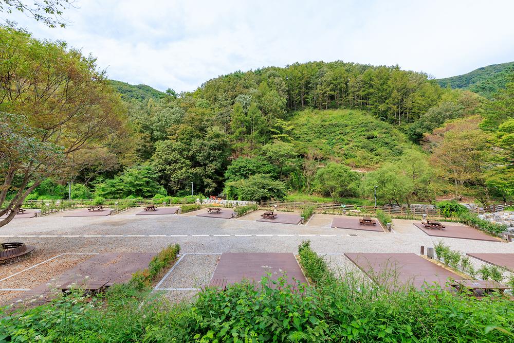 성수산 왕의숲 국민여가캠핑장