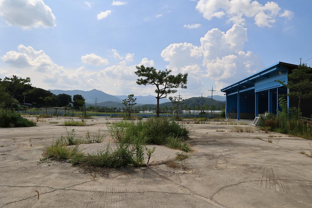 드르니캠핑장