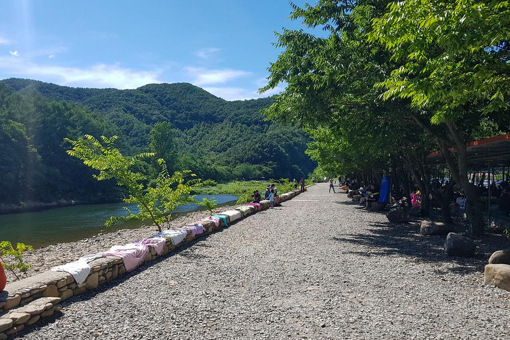솔밭캠핑장