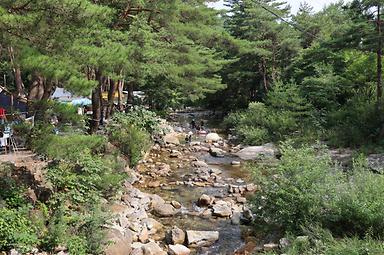 캠핑장소개 이미지
