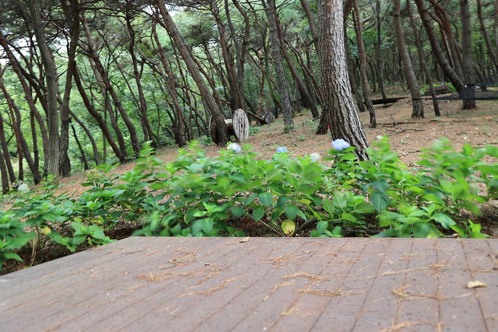 (주)지에스웹 야영장 플라움